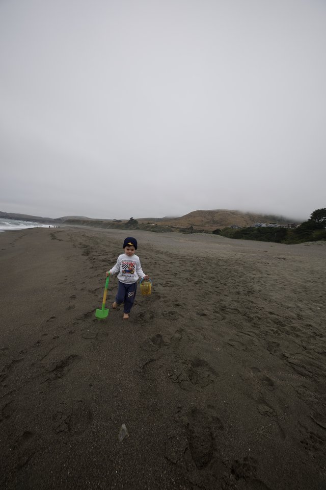 Young Explorer Walks Foggy Northern California Beach