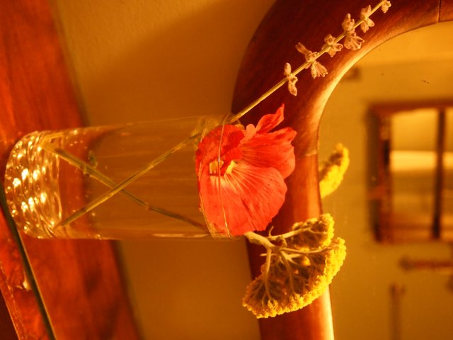 Elegant Ikebana Flower Arrangement in a Glass Vase