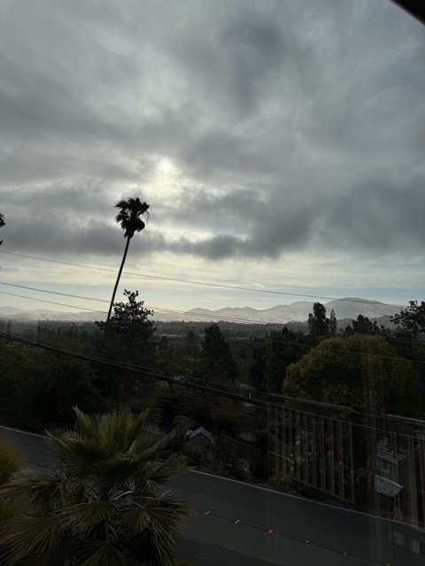 Tranquil Morning in Walnut Creek