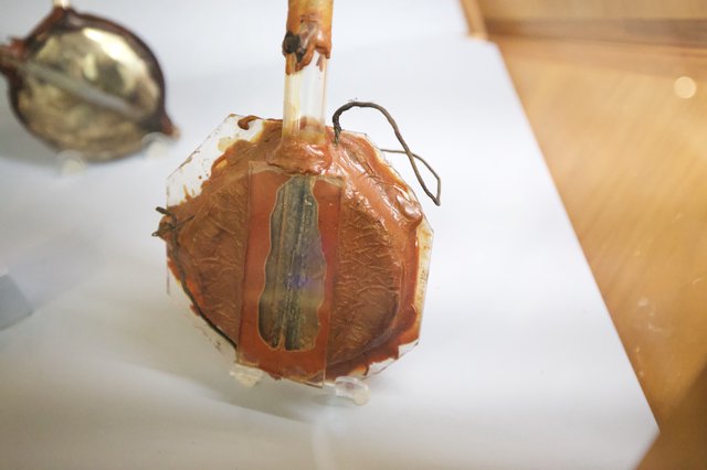 Caramelized Apple Dessert with Spiced Filling and Wine