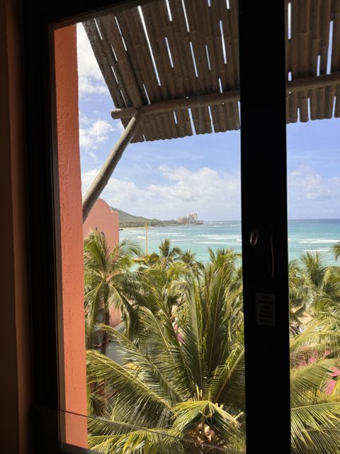 Tropical Vista through the Window