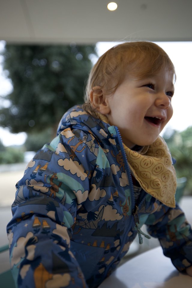 Joyful Toddler in Dinosaur Print Winter Jacket