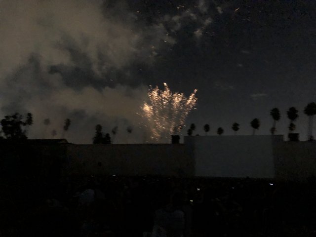 Fireworks Illuminate Night Sky Over Excited Crowd