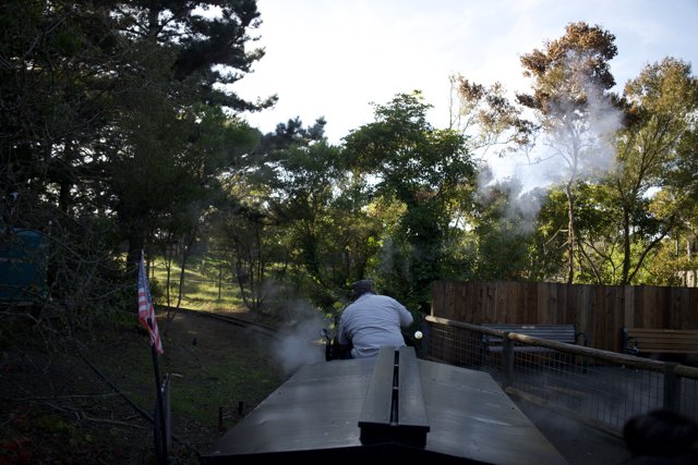 Locomotive Adventure in San Francisco Zoo