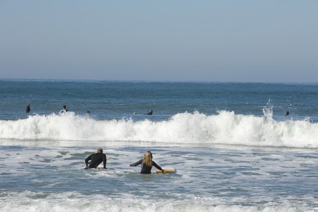 Surf's Up: Pacifica Surfers Carving Waves