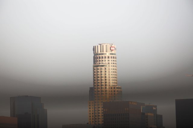 Foggy Metropolis