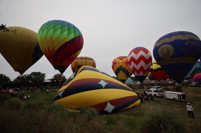 Colorful Hot Air Balloons Fill the Sky at Festival
