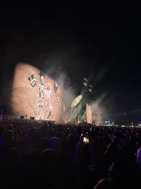 Live Vibes Under the Stars