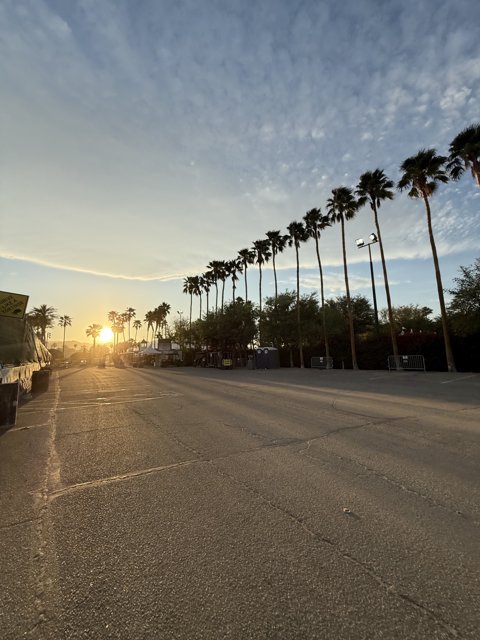 Sunset Oasis