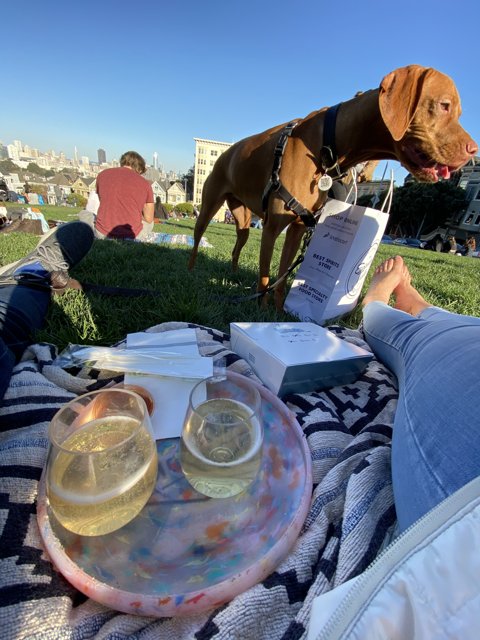 A Pawsitively Perfect Picnic