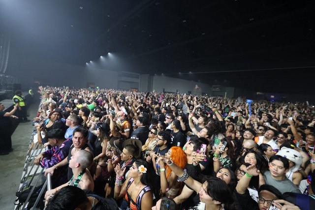 Massive Crowd Surges at Wobbleland 2026 Festival