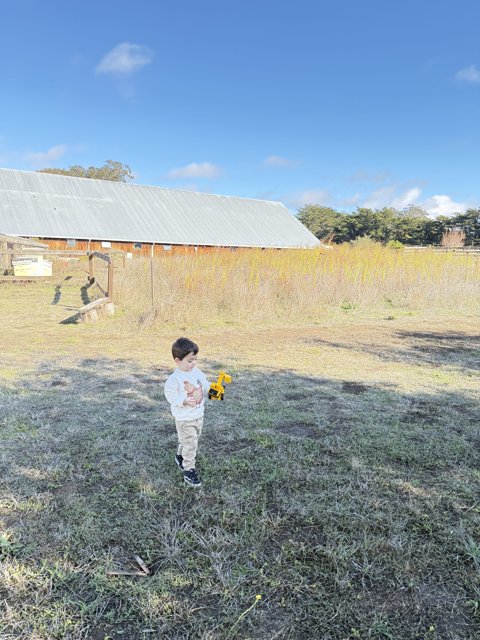 Exploring the Countryside