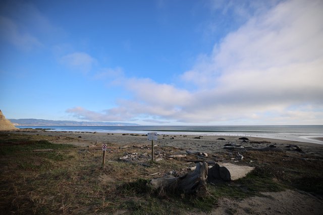 Coastal Tranquility at Drakes Beach Elephant Seal Habitat