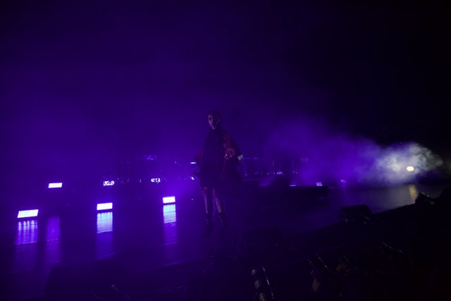 FKA Twigs Shines Under Purple Stage Lights