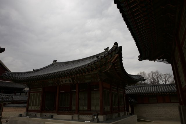 Embracing Serenity: The Harmony of Architecture and Nature in Korea.
