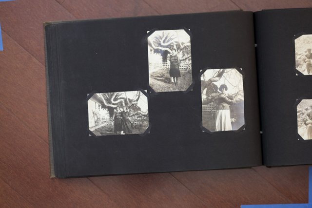 Family Album Featuring Edna St. Vincent Millay