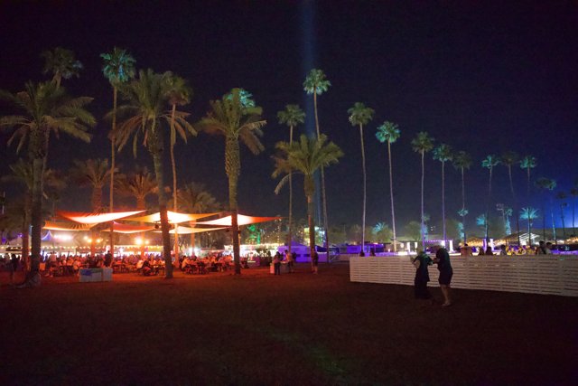 Starlit Palms at Coachella 2024