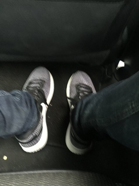 Backseat Sneaker Style