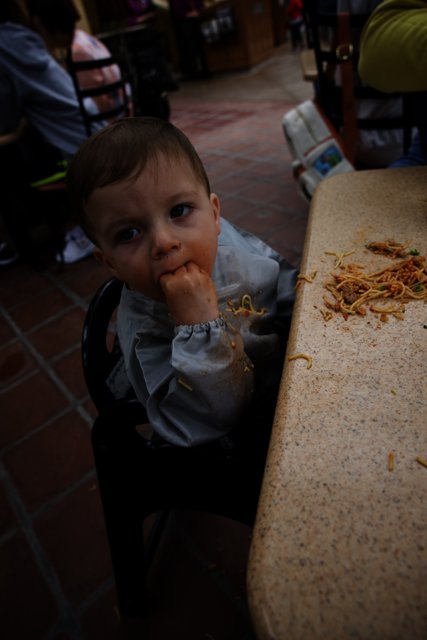 Baby's First Disneyland Meal