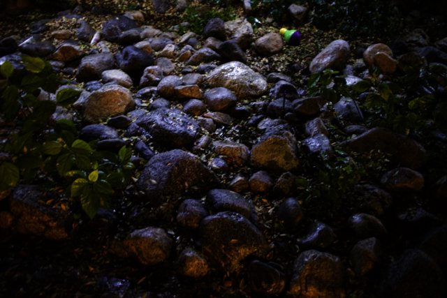 Illuminated Rock Garden