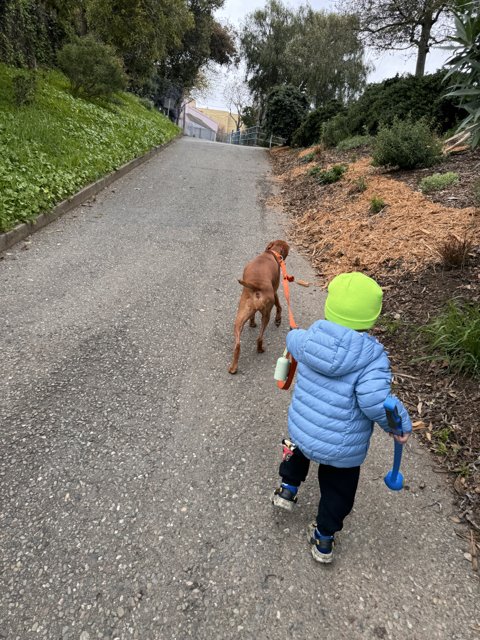A Stroll Down the Urban Trail: Boy and Best Friend