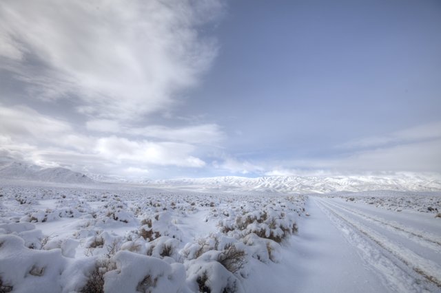 Winter Wonderland Road