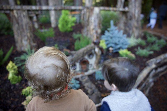 Nature's Wonder Through Young Eyes
