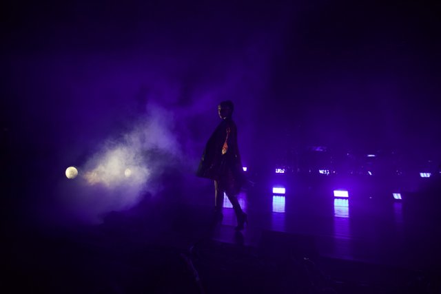 Purple Haze Solo Performance