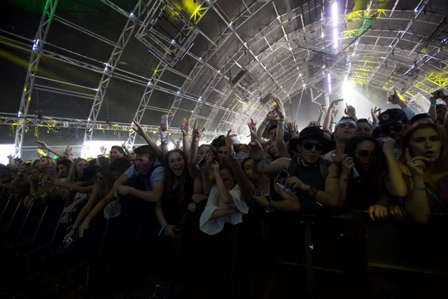 Coachella 2016 Concertgoers Reach for the Stars