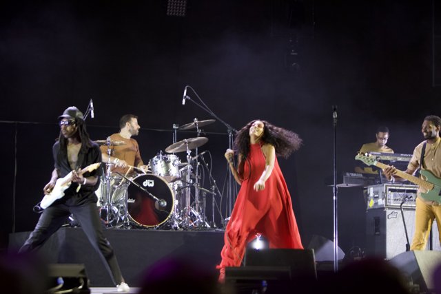 Solange Rocks the Stage at the Natural History Museum