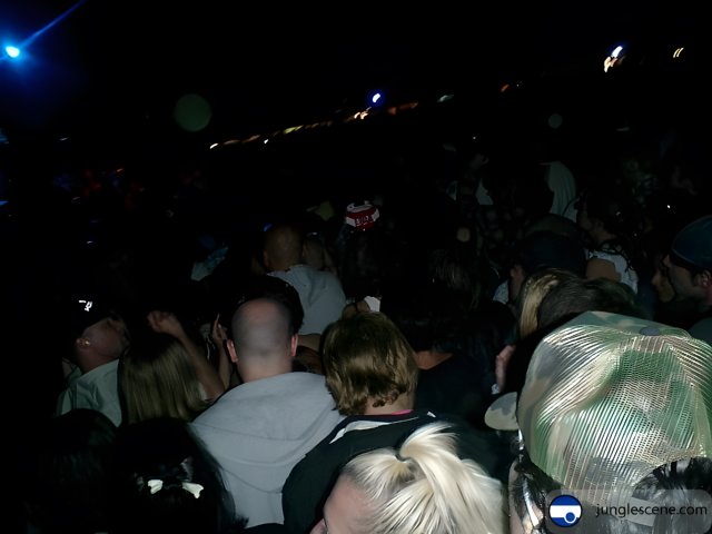 Nightclub Crowd at Coachella Concert