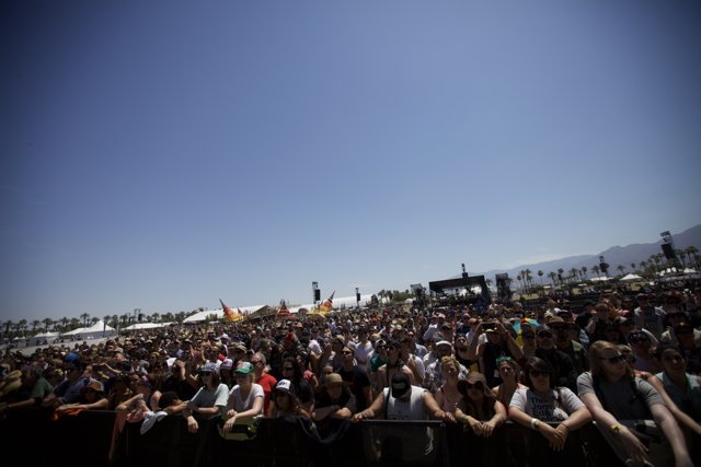 Coachella Crowd's Wild Weekend