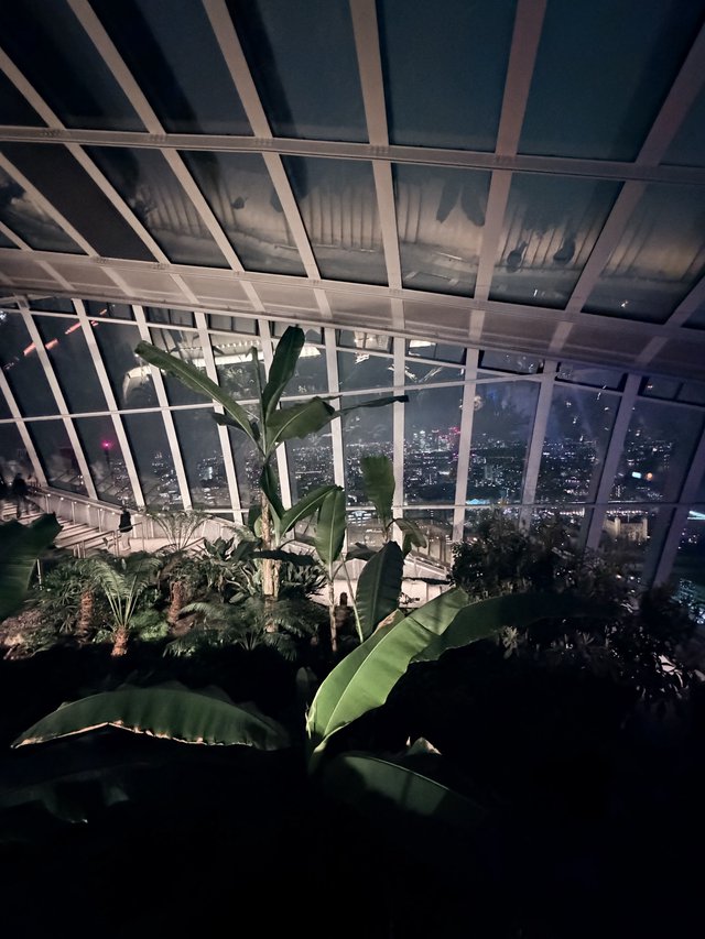 Sky Garden Observatory at Night with City Views