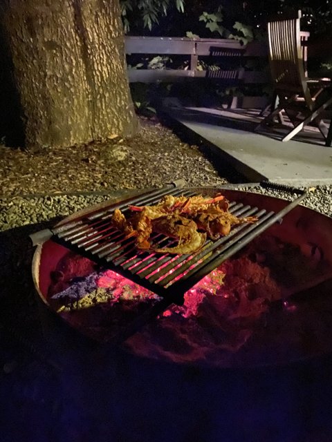 Nighttime BBQ Delight