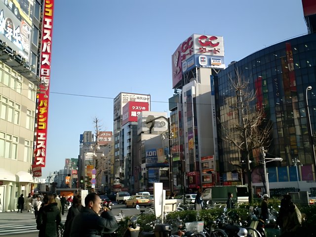 A Bustling Metropolis in Shinjuku