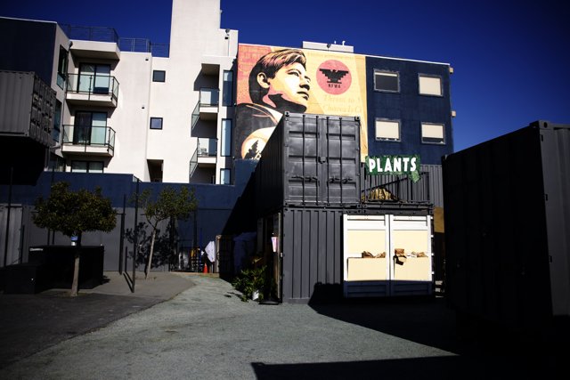 Vibrant Mural Adorning San Francisco Building