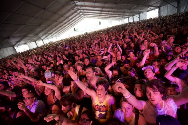 The Electric Crowd at Coachella Music Festival