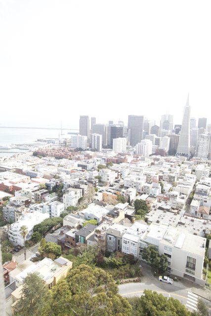 Aerial View of San Francisco's Urban Landscape