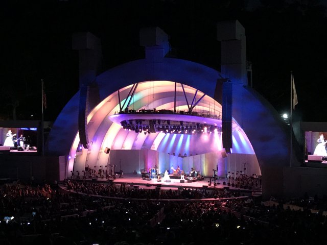 Hollywood Bowl Concert Experience