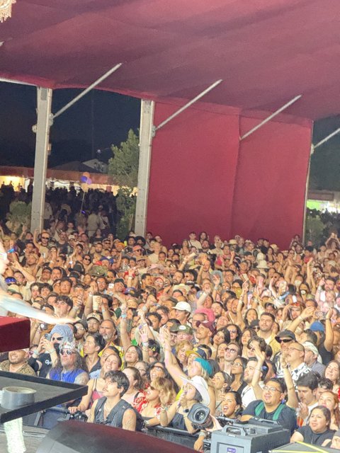 Electrifying Vibes Under the Stars