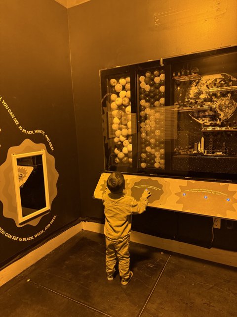 Exploring the Cosmos