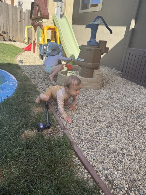 Summer Adventures in the Backyard