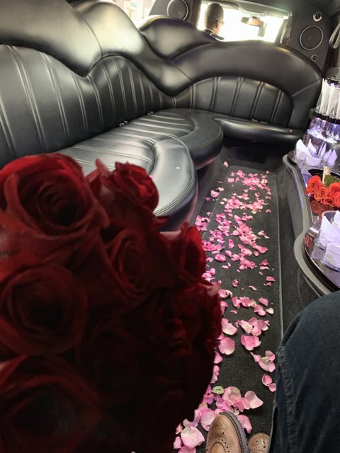 Red Roses on the Limo Couch