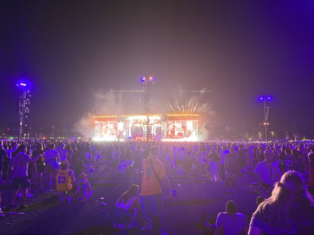 Euphoric Night Under the Stars