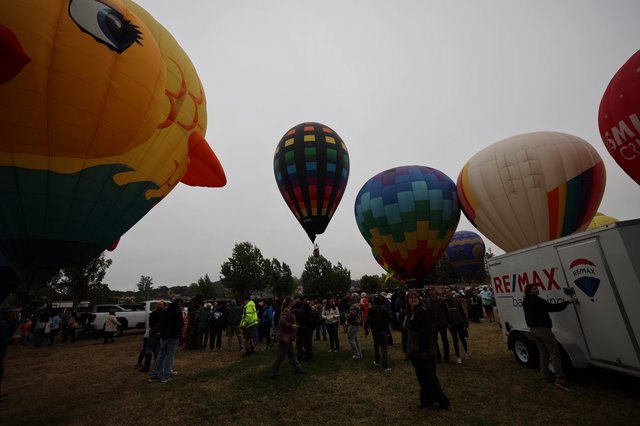 Colorful Hot Air Balloons Rise at Sonoma County Classic