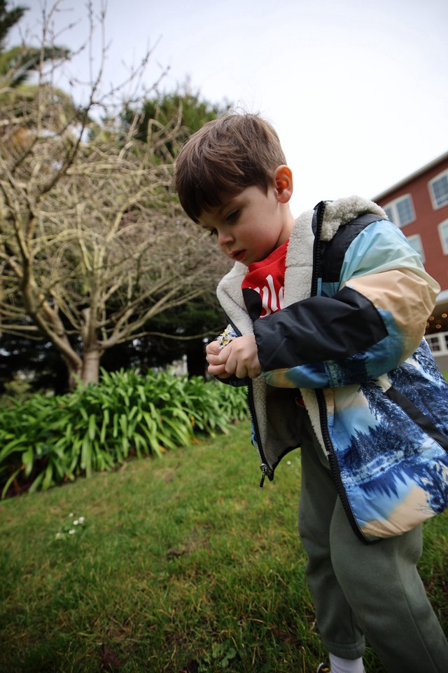 Young Boy Examining Flower in Garden