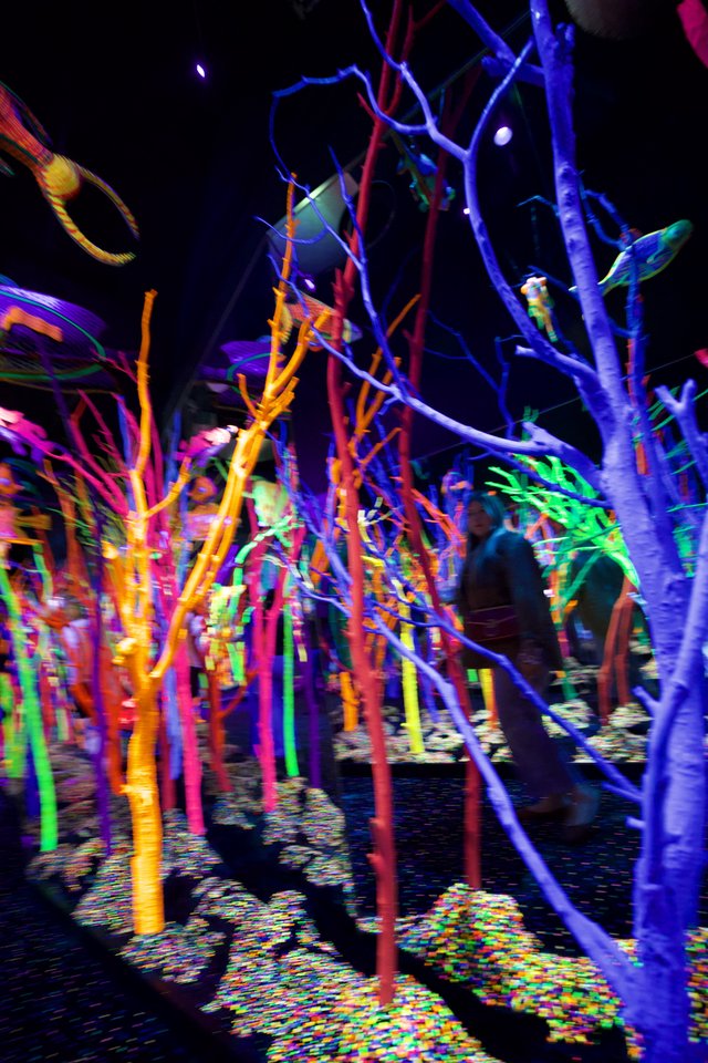 Neon Forest: Immersive Art Installation with Glowing Trees