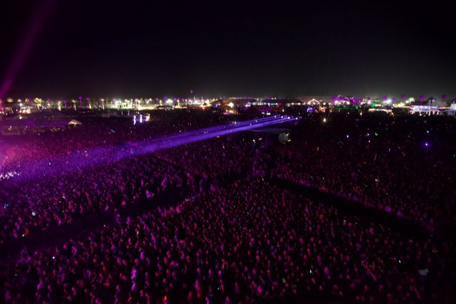 Purple Night Concert Crowd