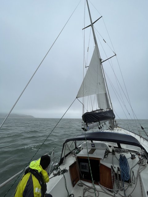 Sail Away on Richardson Bay