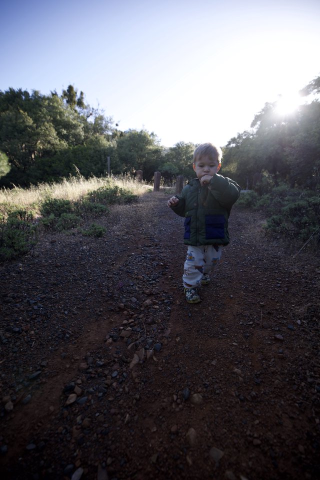 Young Explorer Walks the Trail at Mount Diablo